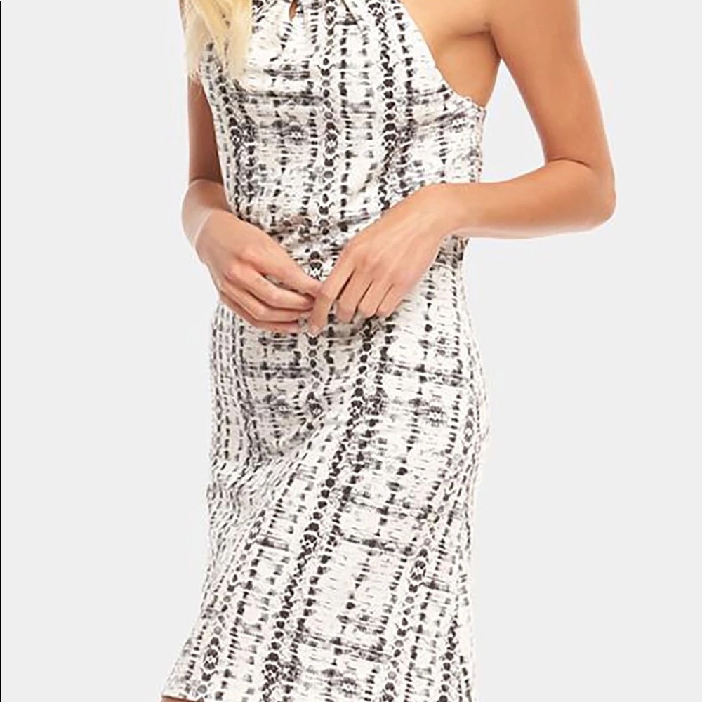 TART Collections Rumi Shift Dress - Picture 9 of 12